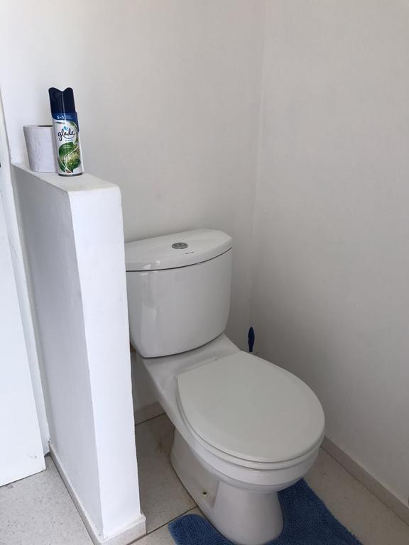 Studio Nene Willemstad Dış mekan fotoğraf